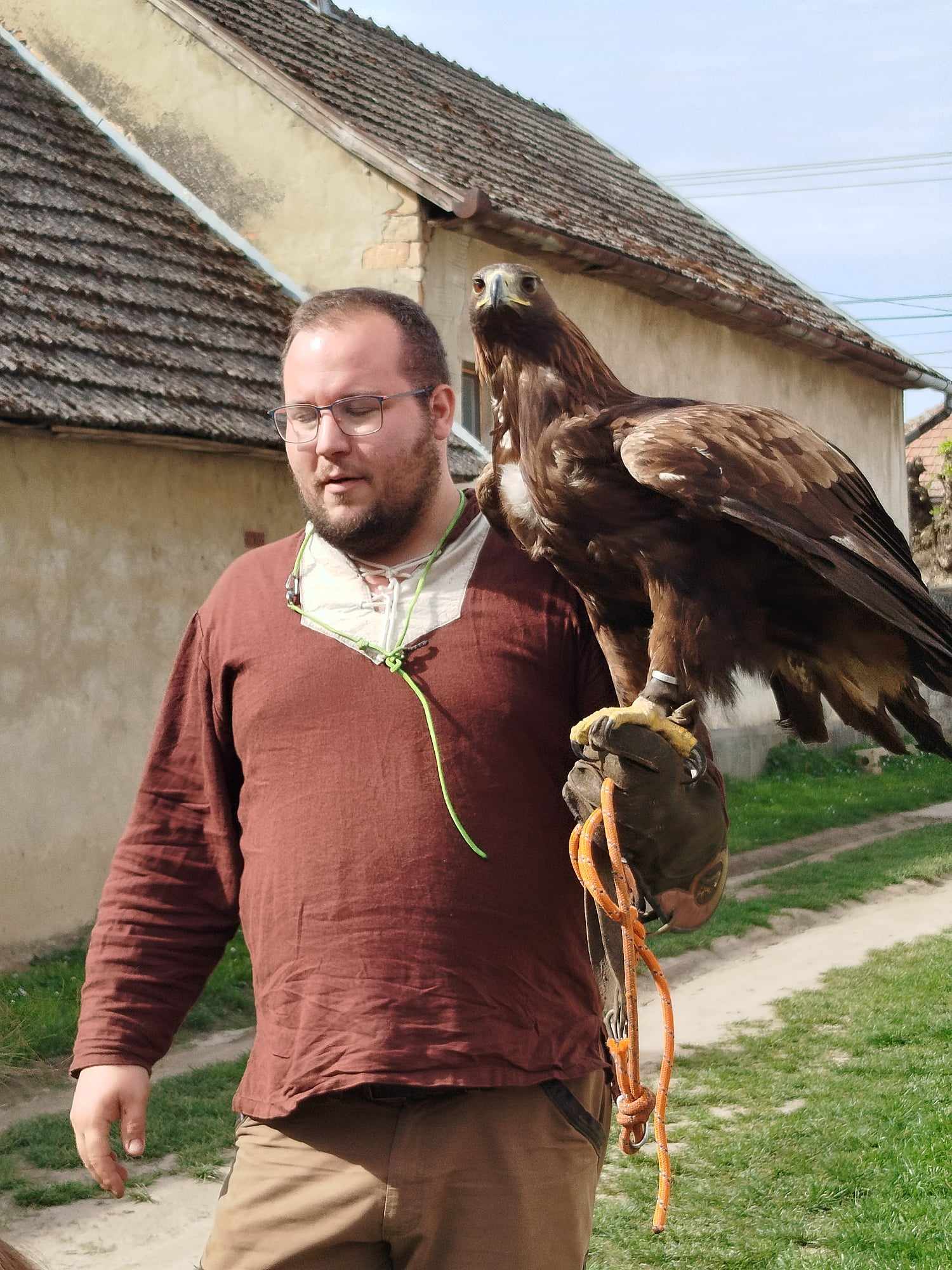 solymasz solymász bemutató